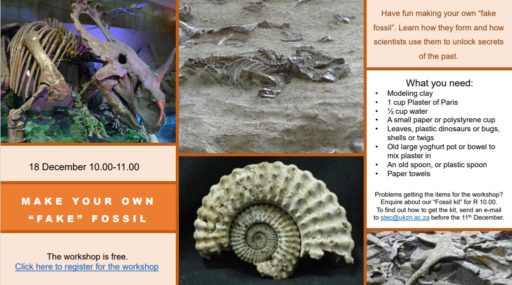 Online holiday workshops for children with STEC@UKZN