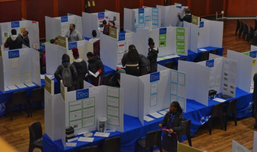 Young scientists showcase innovations at Eden Karoo Regional Science Fair